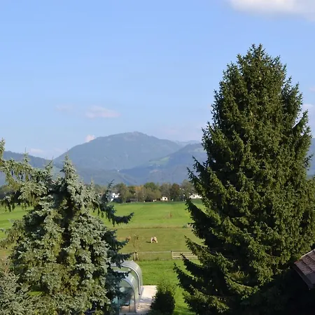 Schmiedhansl Moos * Salzburg