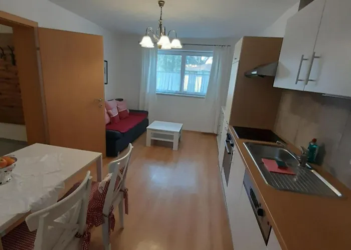 公寓 Schmiedhansl Moos 萨尔茨堡